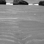 Black and white_0002.jpg